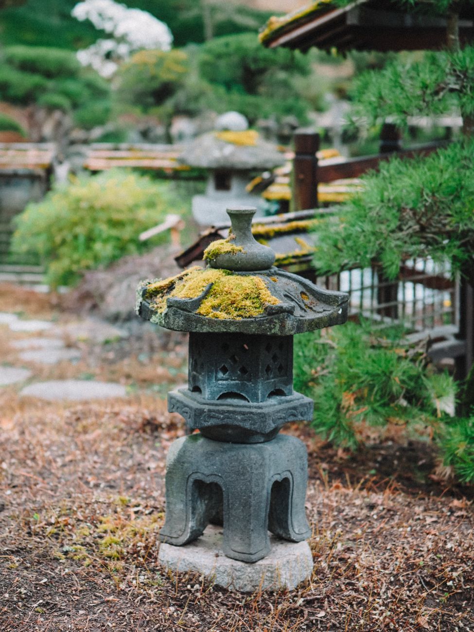 Traditional Japanese teahouse garden in Kyoto with moss and stepping stones